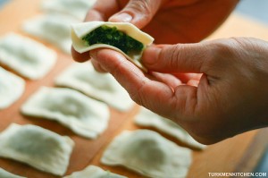 Fold the dough in half and pinch the edges together.