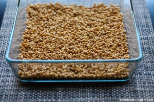 Spread the wheat evenly in a flat dish.